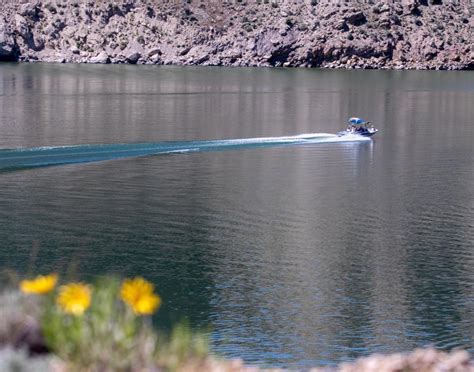 wyoming fishing license|Licenses & Applications .